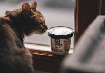 What Should You Feed Your Cat for Optimal Health